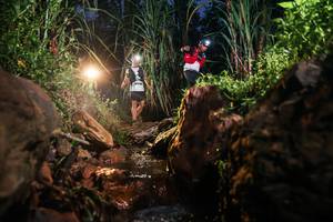 BIB: 
                            <button type="button" onclick="openModal(26417059)" class="btn btn-primary btn-sm float-right btn-popup" data-toggle="modal" data-target=".modal-high-quality">
                        <i class="fas fa-shopping-cart"></i> Add to Cart
                    </button>
                                            <button type="button" onclick="isThisMe(26417059, true)" class="btn btn-success btn-sm float-right btn-popup btn-isme hidden" data-toggle="tooltip" data-placement="bottom" title="นี่คือรูปของคุณใช่ไหม คลิกที่นี่เพื่อเอาเข้าอัลบั้ม">
                        <i class="fas fa-plus"></i> Add to album
                    </button>
                    <button type="button" onclick="isThisMe(26417059, false)" class="btn btn-warning btn-sm float-right btn-popup btn-isnotme hidden">
                        <i class="fas fa-ban"></i> Remove from album
                    </button>